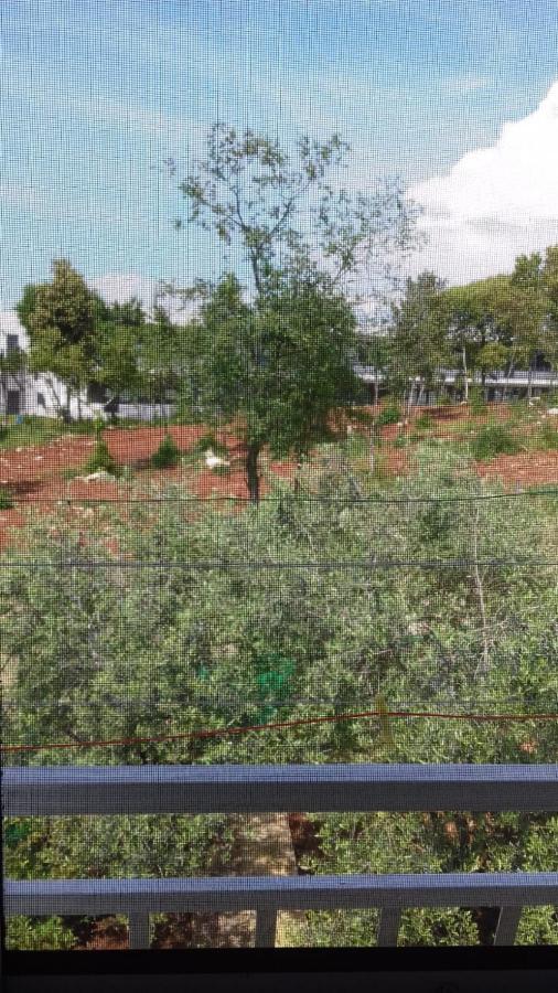 Apartment Bella Vista Park View بوريتش المظهر الخارجي الصورة